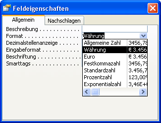 Währungsformat in den Eigenschaften einstellen