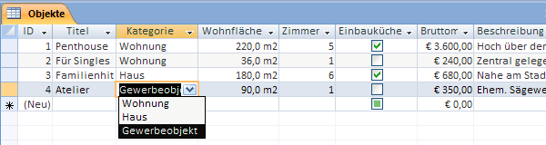 Immobilien eingeben