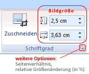 Bildgröße im Register Bildtools -> Format