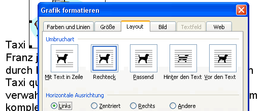 Register Layout im Dialogfenster Grafik formatieren