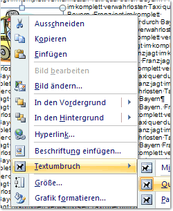 Kontextmenü eines Bildes in Word 2007